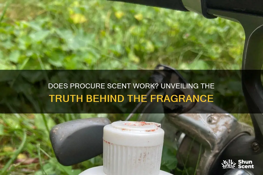 does procure scent work