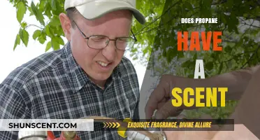 Does Propane Have a Scent? Uncovering the Truth About Its Odor