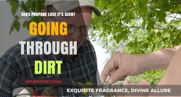 Does Propane Retain Its Odor When Passing Through Soil?