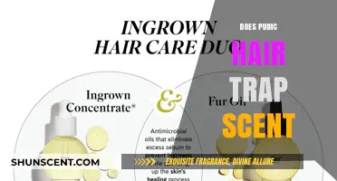Does Pubic Hair Trap Scent? Unraveling the Science and Myths