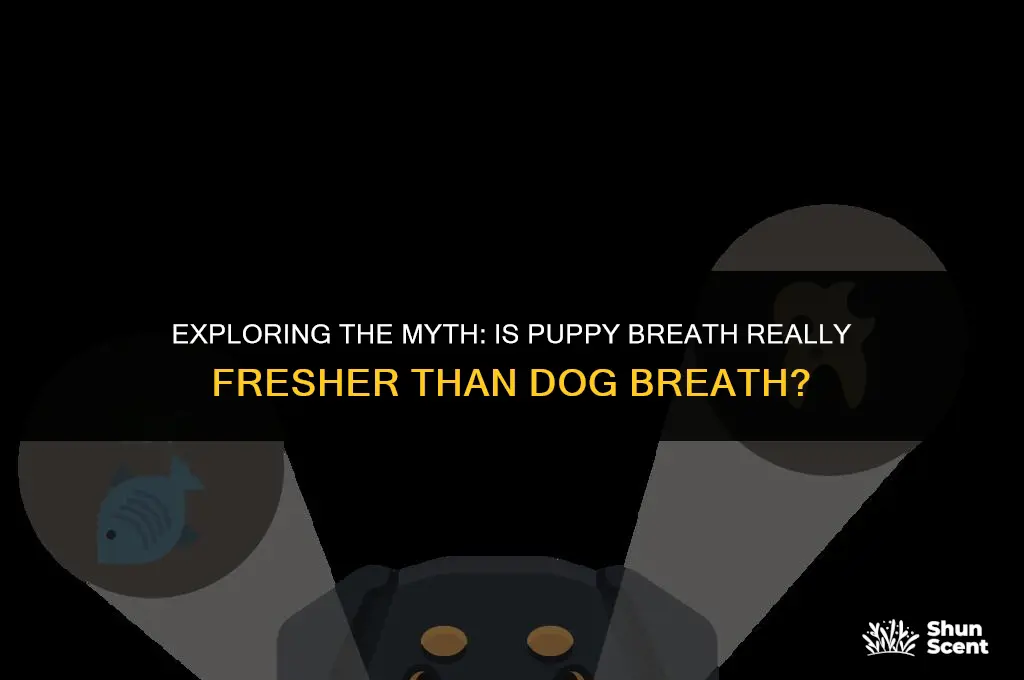 does puppy breath smell better than dog breath