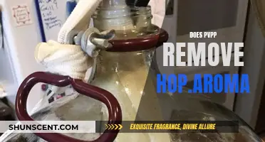 How PVPP Removes Hop Aroma from Beer