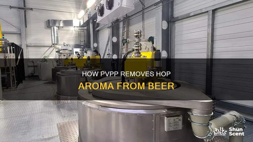 does pvpp remove hop.aroma