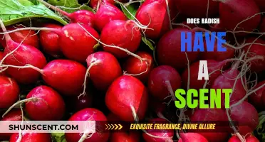 Unveiling the Truth: Does Radish Have a Distinct Scent?
