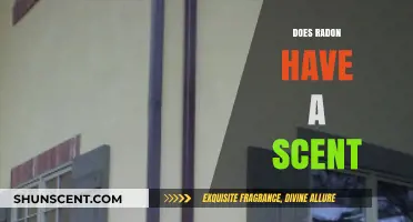 Does Radon Have a Scent? Uncovering the Truth About This Silent Gas