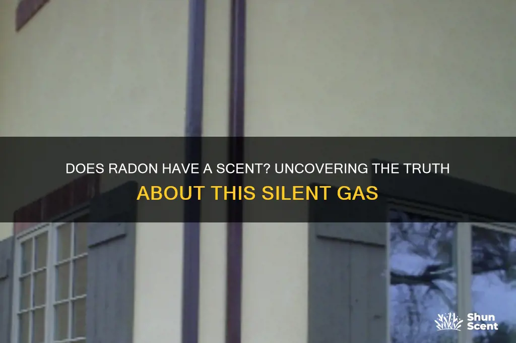 does radon have a scent