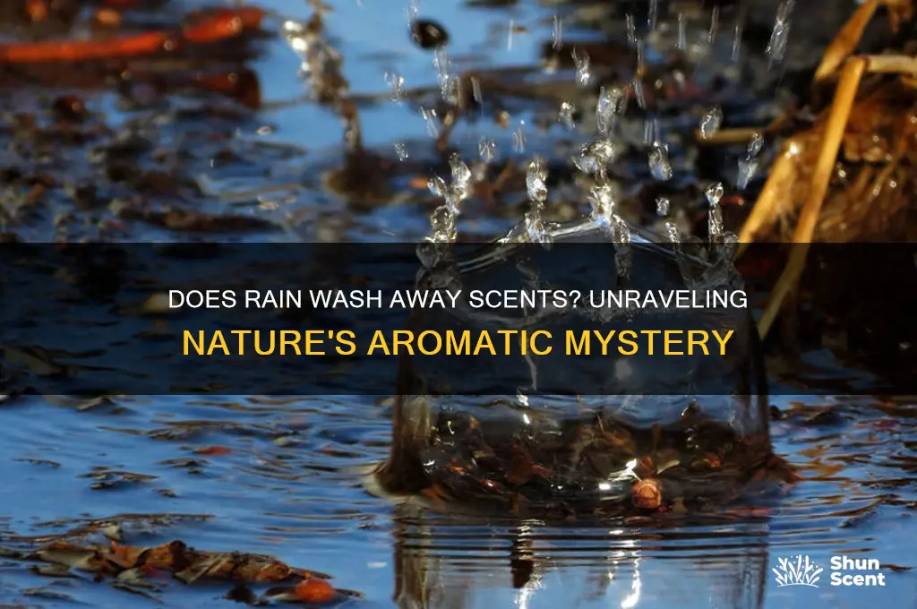does rain cover scent