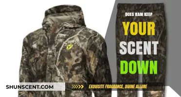 Rain's Role in Reducing Human Scent: Myth or Effective Hunting Strategy?