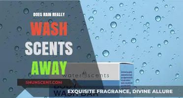 Rain's Role in Removing Scents: Myth or Effective Odor Eraser?