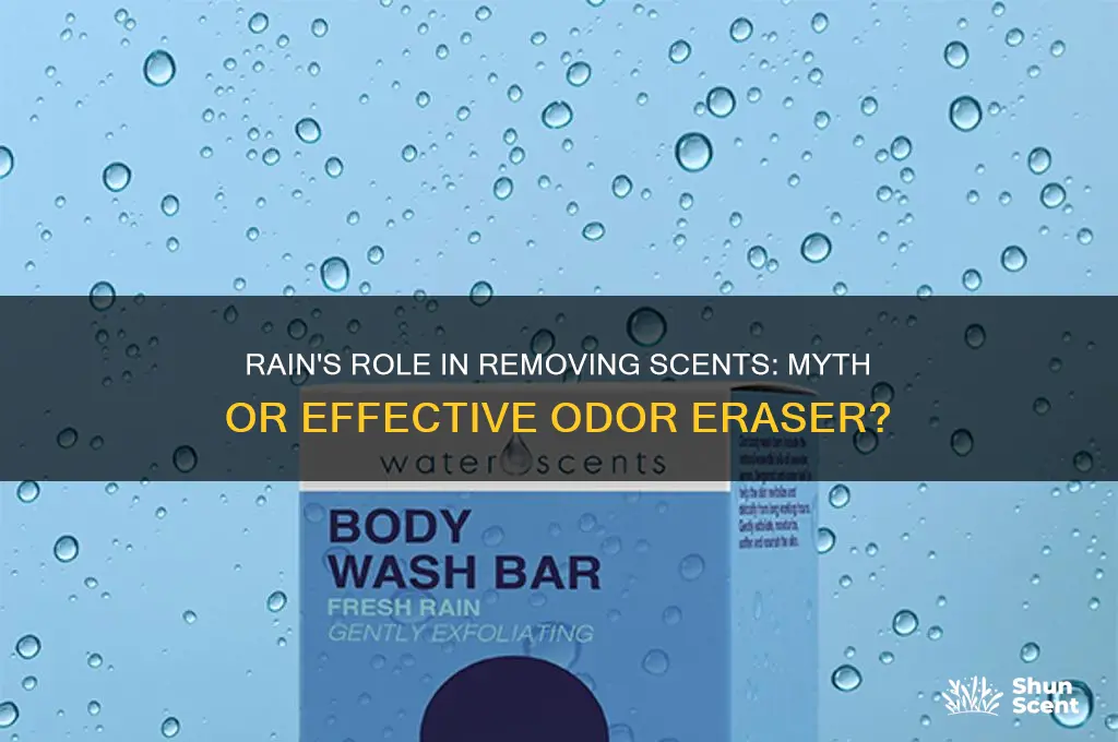 does rain really wash scents away