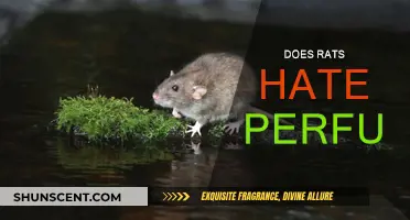Perfumes: A Rat's Worst Nightmare?