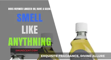 Does Refined Linseed Oil Have a Scent? Exploring Its Aroma Profile