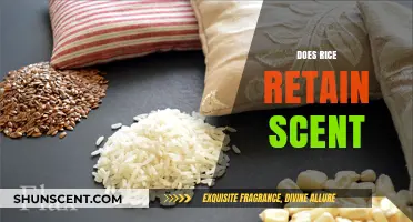 Does Rice Retain Scent? Exploring Aromatic Grains and Fragrance Retention