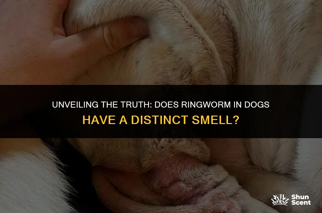 does ringworm in dogs smell
