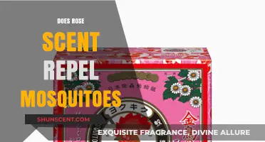 Rose Scent vs. Mosquitoes: Does Floral Fragrance Keep Bites at Bay?