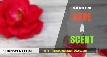 Does Rose Water Have a Scent? Unveiling Its Aromatic Truth