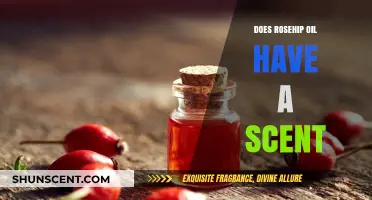 Does Rosehip Oil Smell? Unveiling Its Natural Aroma and Scent Profile