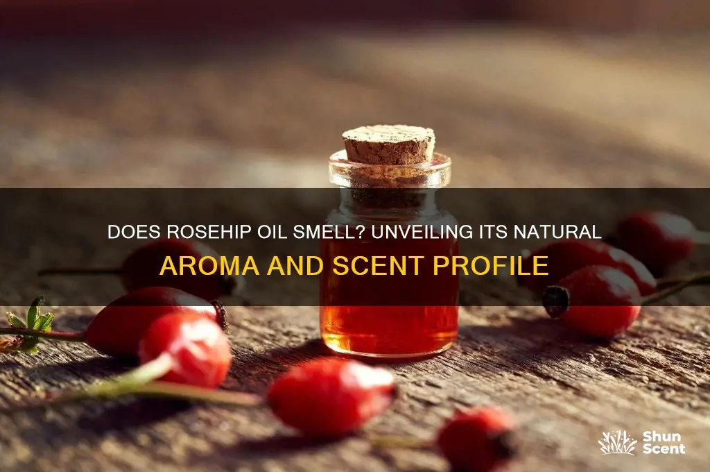 does rosehip oil have a scent