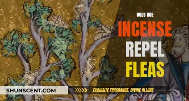 Incense Flea Repellent: Does Rue Work?
