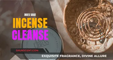 Sage Incense: Cleansing Power and Rituals