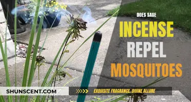 Sage Incense: A Mosquito Repellent?