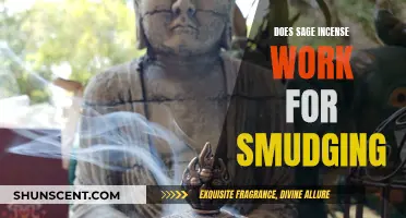 Sage Incense for Smudging: Does It Work?