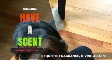 Unveiling the Truth: Does Saliva Carry a Detectable Scent?