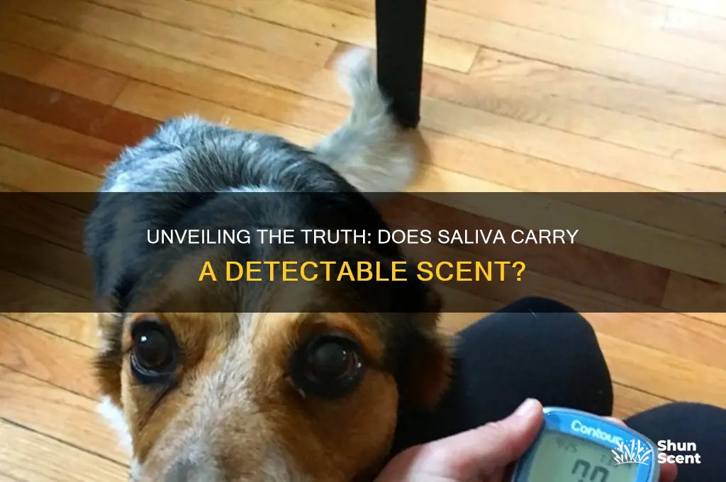 does saliva have a scent