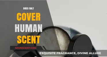 Does Salt Mask Human Scent? Uncovering the Truth for Hunters