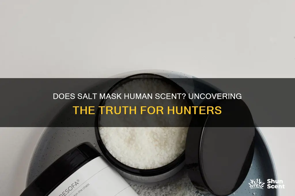 does salt cover human scent