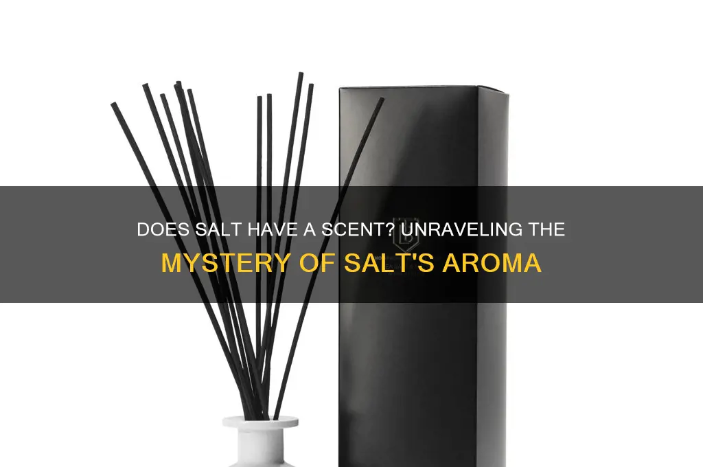 does salt have a scent