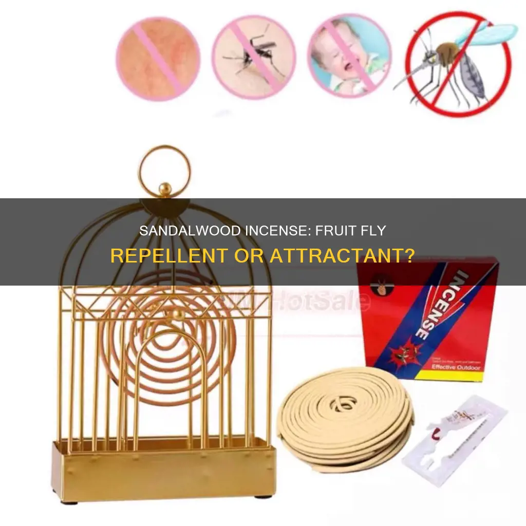 does sandalwood incense repel against fruit flies
