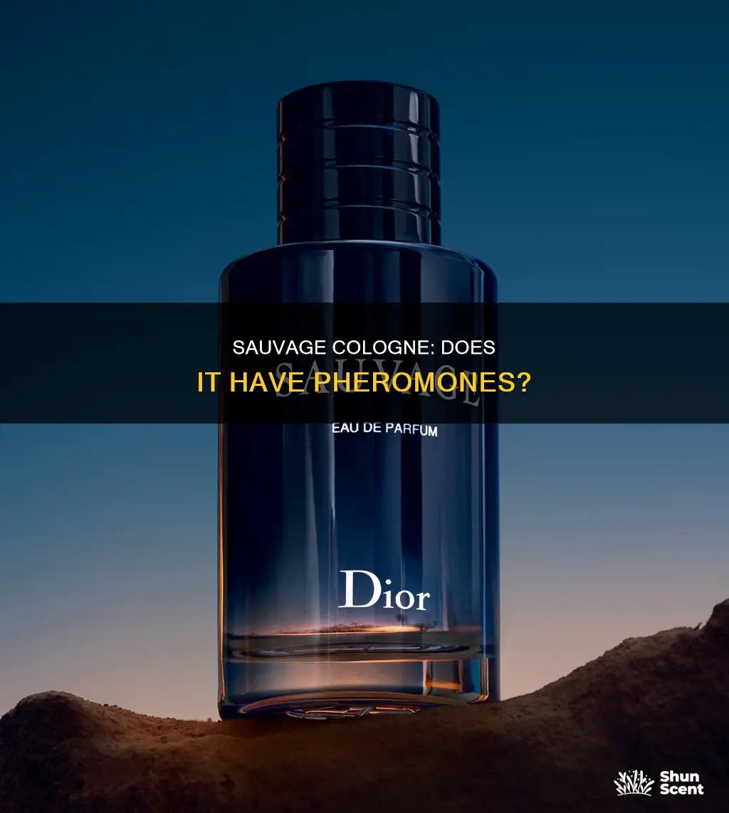 does sauvage cologne have pheromones