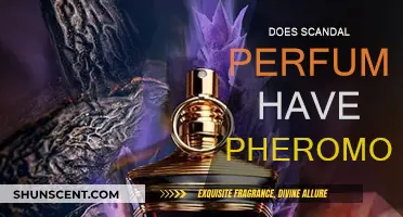 Scandal Perfume: The Power of Pheromones