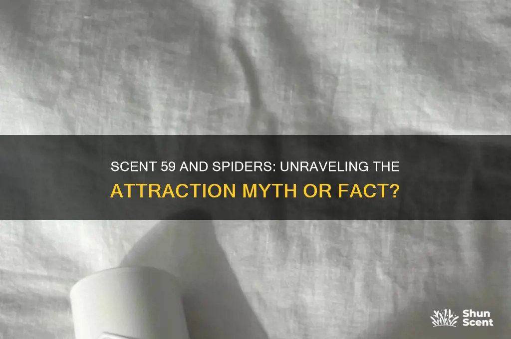 does scent 59 attract spiders