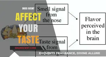 How Scents Influence Taste: Unraveling the Science Behind Flavor Perception