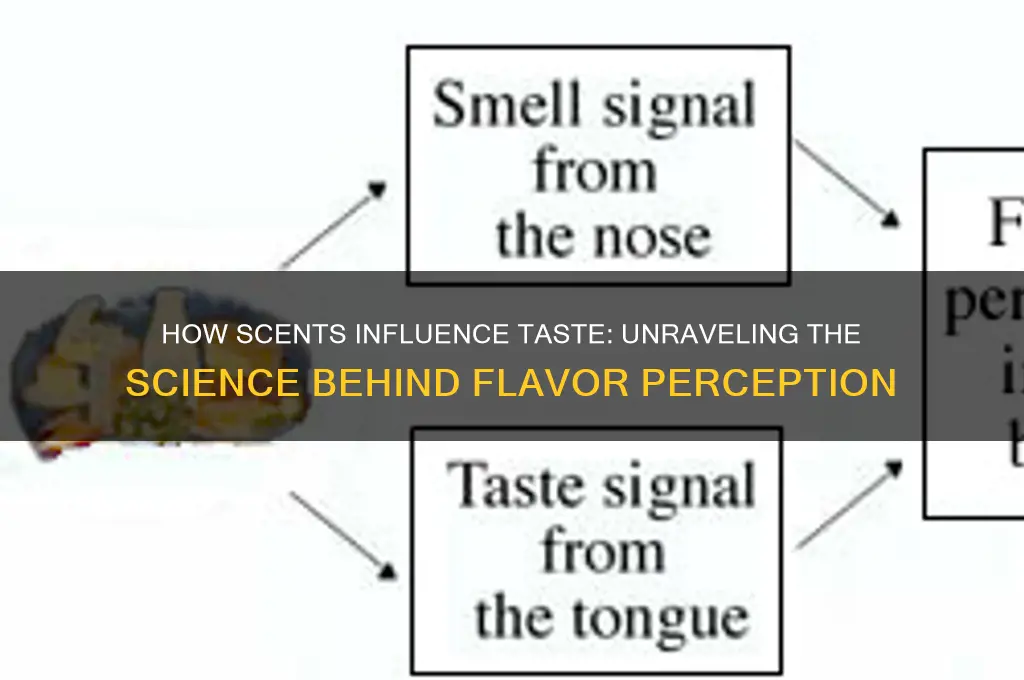 does scent affect your taste