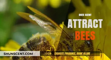 How Scents Lure Bees: Unveiling the Power of Floral Fragrances