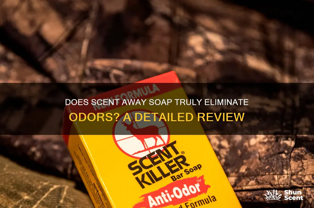 does scent away soap deoderize