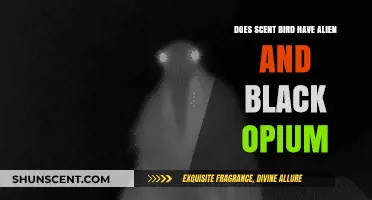 Scentbird's Alien and Black Opium: Availability and Fragrance Insights