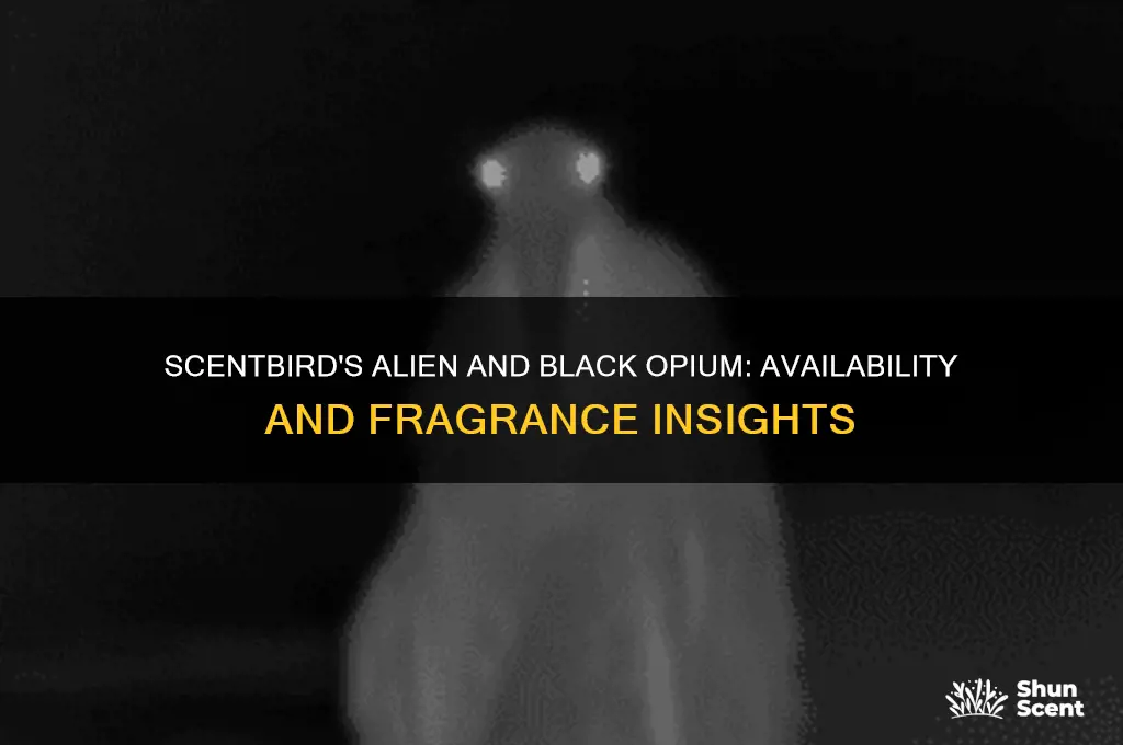 does scent bird have alien and black opium