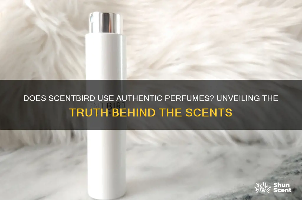does scent bird use the real products