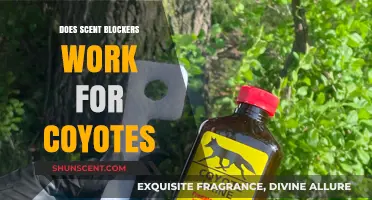 Do Scent Blockers Effectively Deter Coyotes? A Comprehensive Analysis