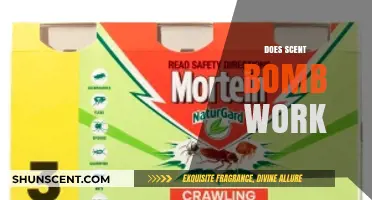 Does Scent Bomb Work? Unveiling the Truth Behind This Viral Trend