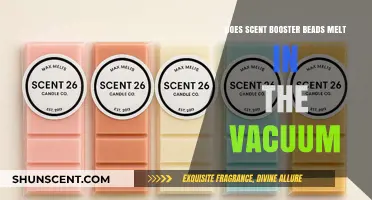 Do Scent Booster Beads Melt in the Vacuum? Facts Revealed