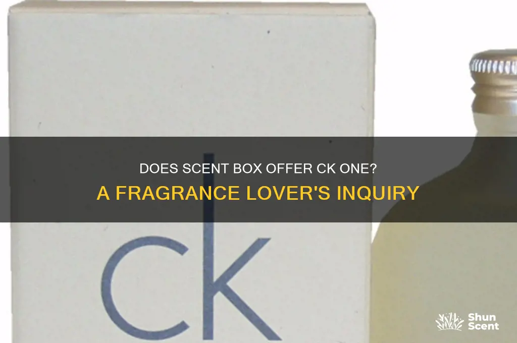 does scent box carry ck one