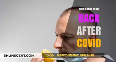 Can COVID-19 Steal Your Sense of Smell Forever? The Truth Revealed