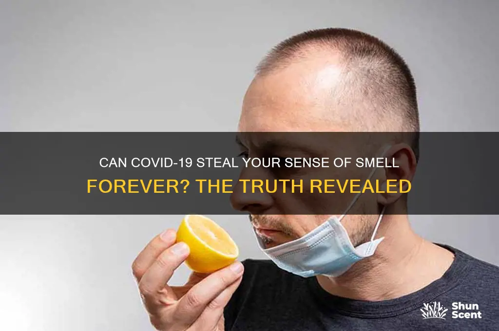 does scent come back after covid