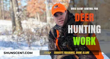 Does Scent Control Really Enhance Deer Hunting Success?