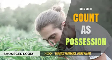 Does Scent Count as Possession? Exploring the Legal and Ethical Boundaries